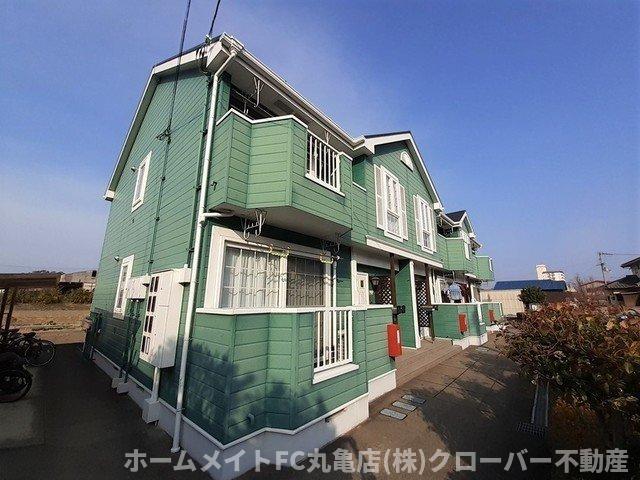 エヴァーグリーン　Ａのイメージ