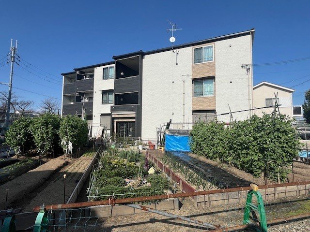 パレフローラのイメージ